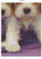 /album/esquemas-no-estan-completos-como-ejemplos-/perritos-8-png/